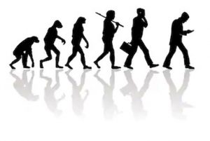 Evolution