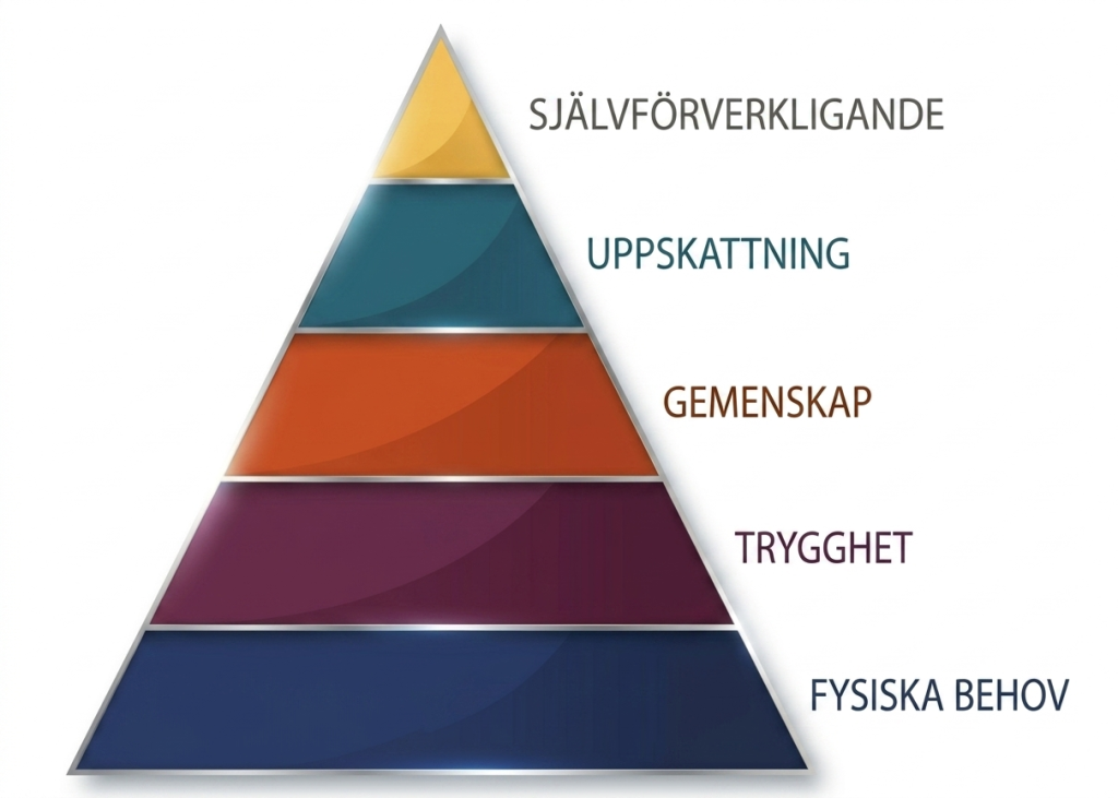 Maslows behovspyramid